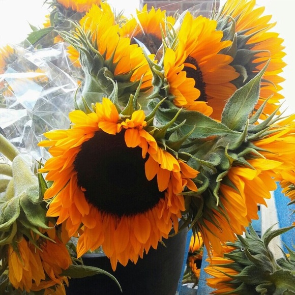 Bookmark Me! - Picture 7 of 8